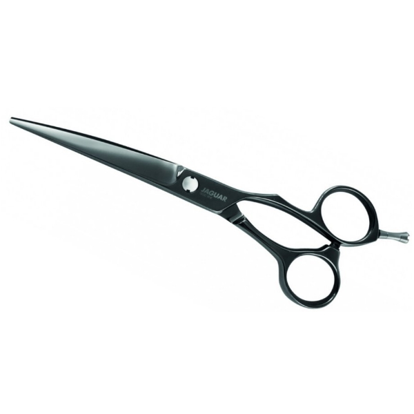 Xenox Titan 5.5 Zoll 
